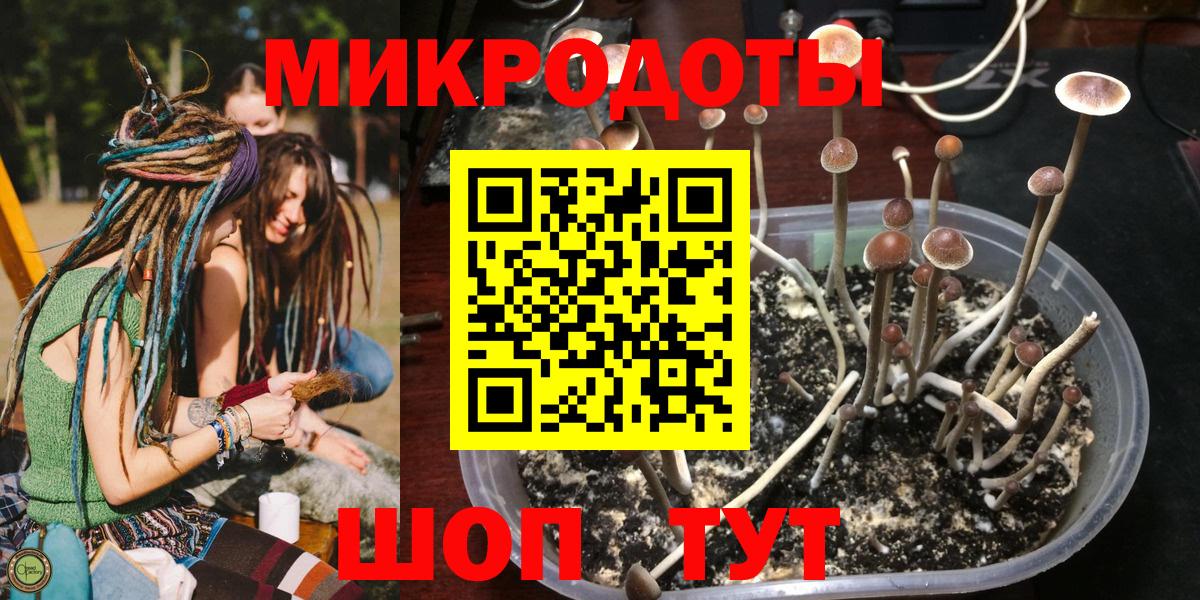 Галлюциногенные грибы Cubensis Кинешма
