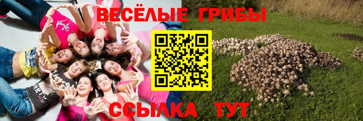 Кинешма  Галлюциногенные грибы ЛСД  Вход с VPN  Псилоцибиновые грибы Cubensis 